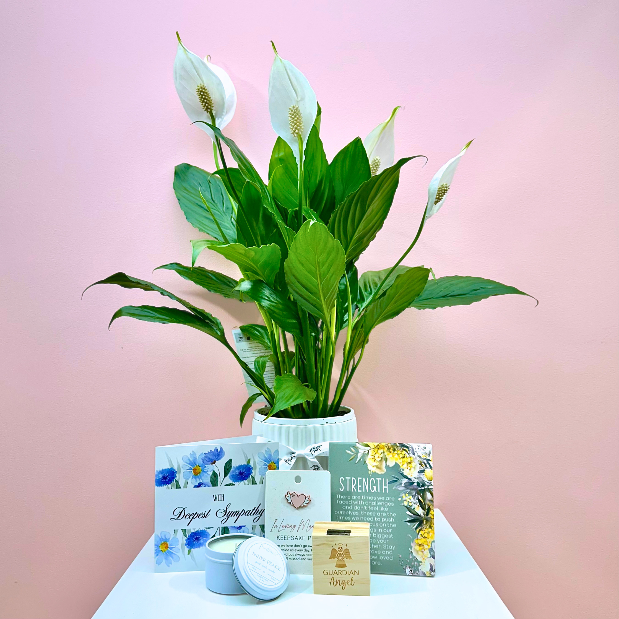 The Sympathy Plant Combo