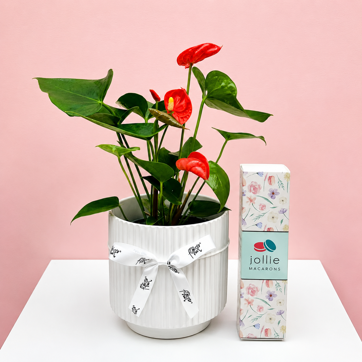 Plant Combo