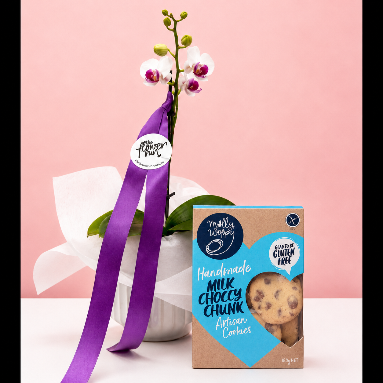 The Mini Orchid Plant Combo