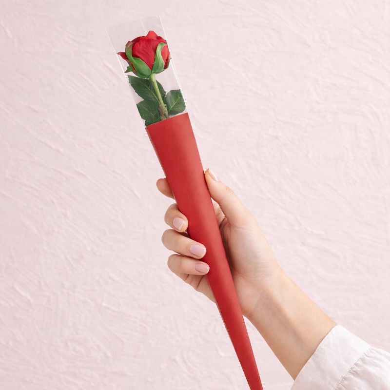 The Single Stem Rose