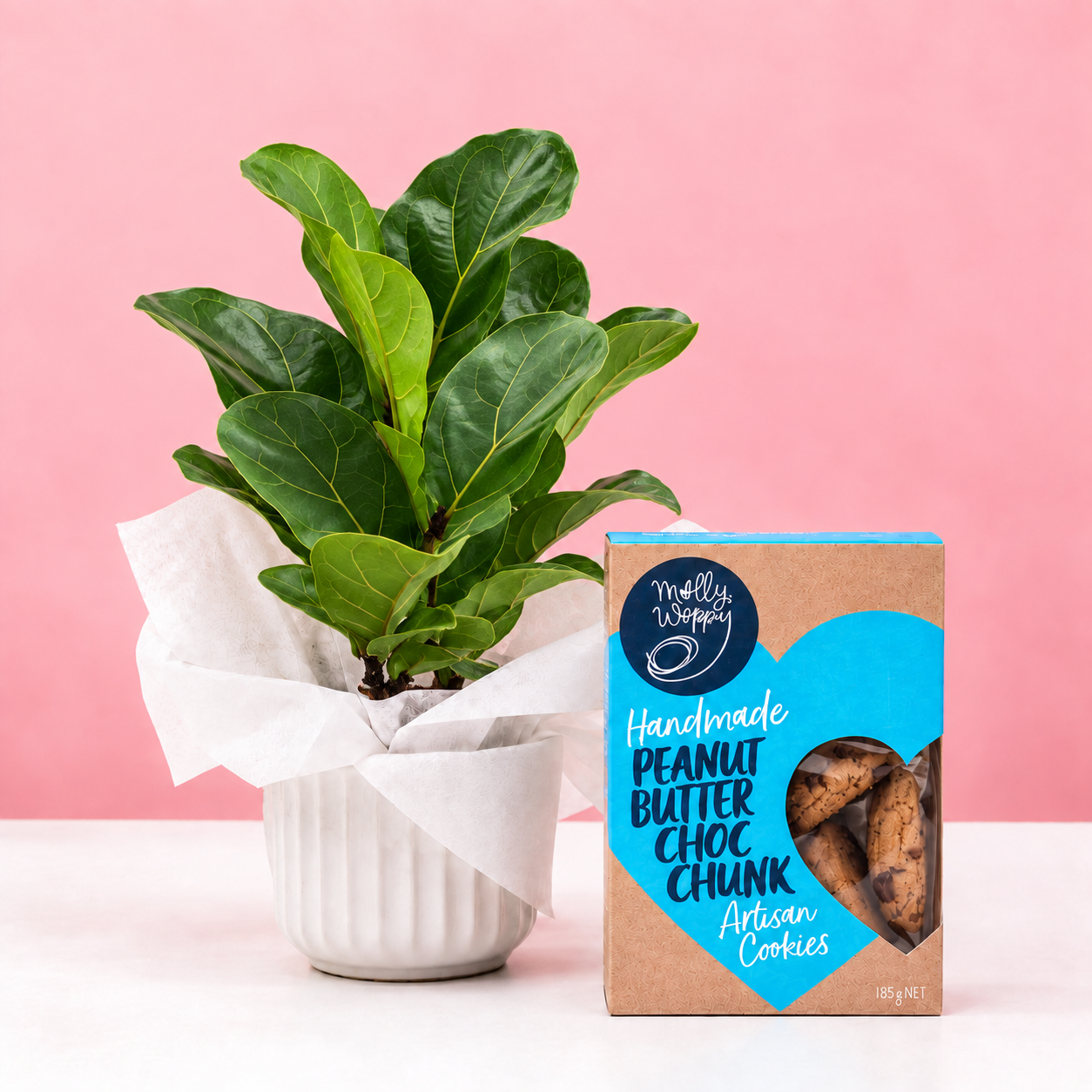The Fiddle Leaf Combo