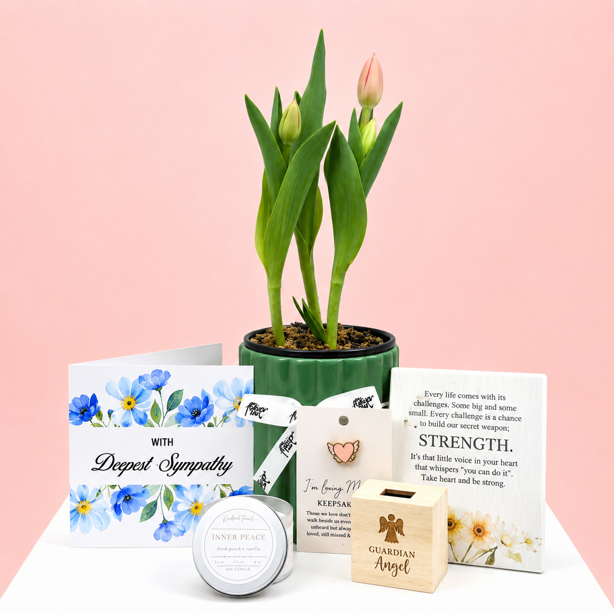 The Sympathy Plant Combo