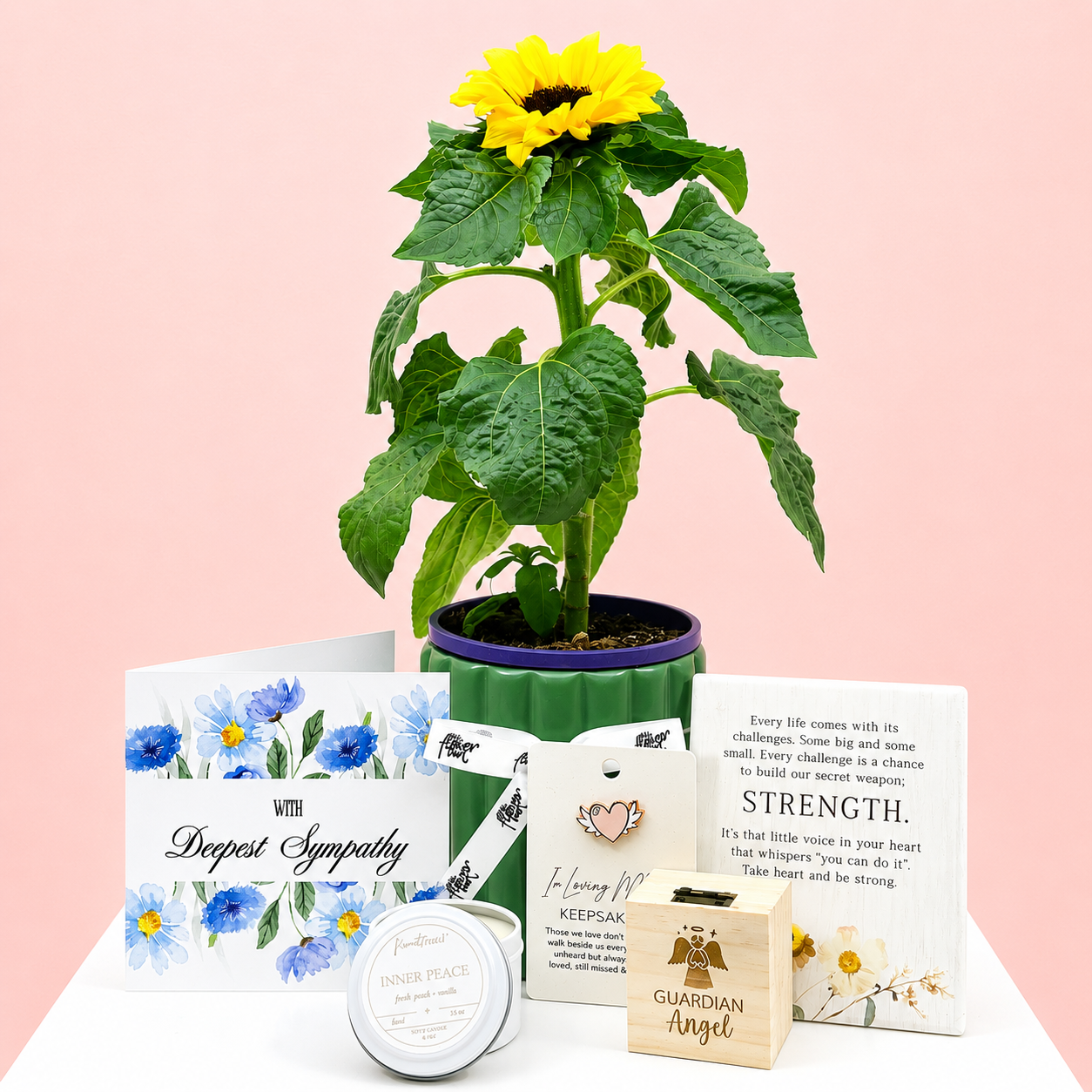The Sympathy Plant Combo