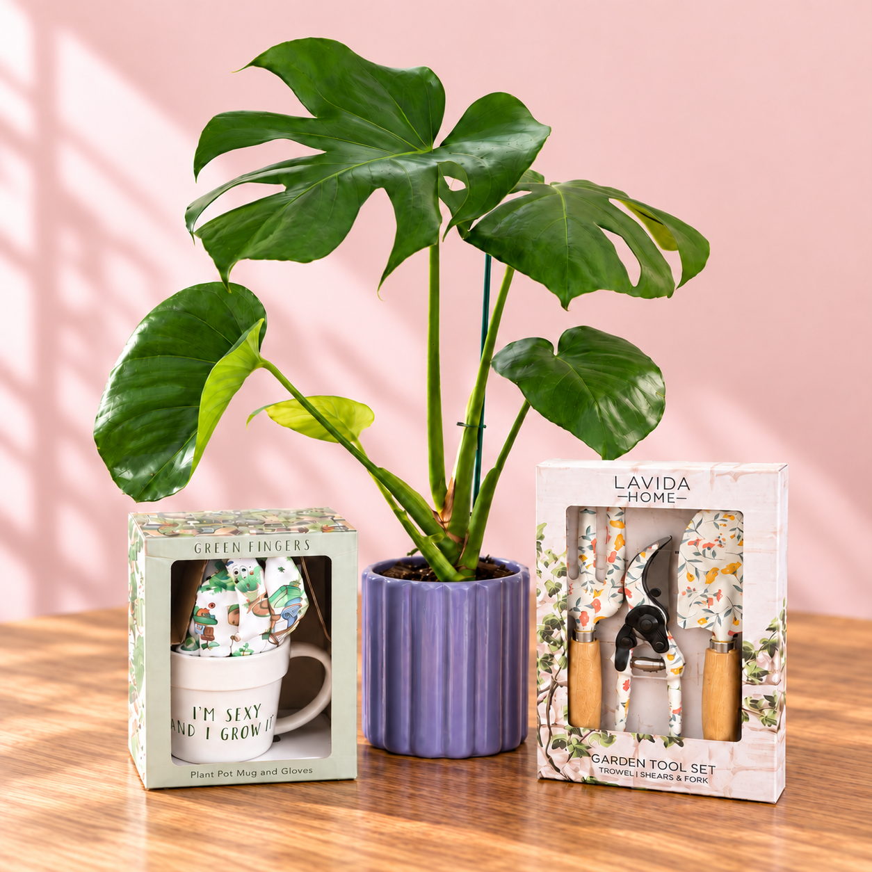 Garden Lovers Combo