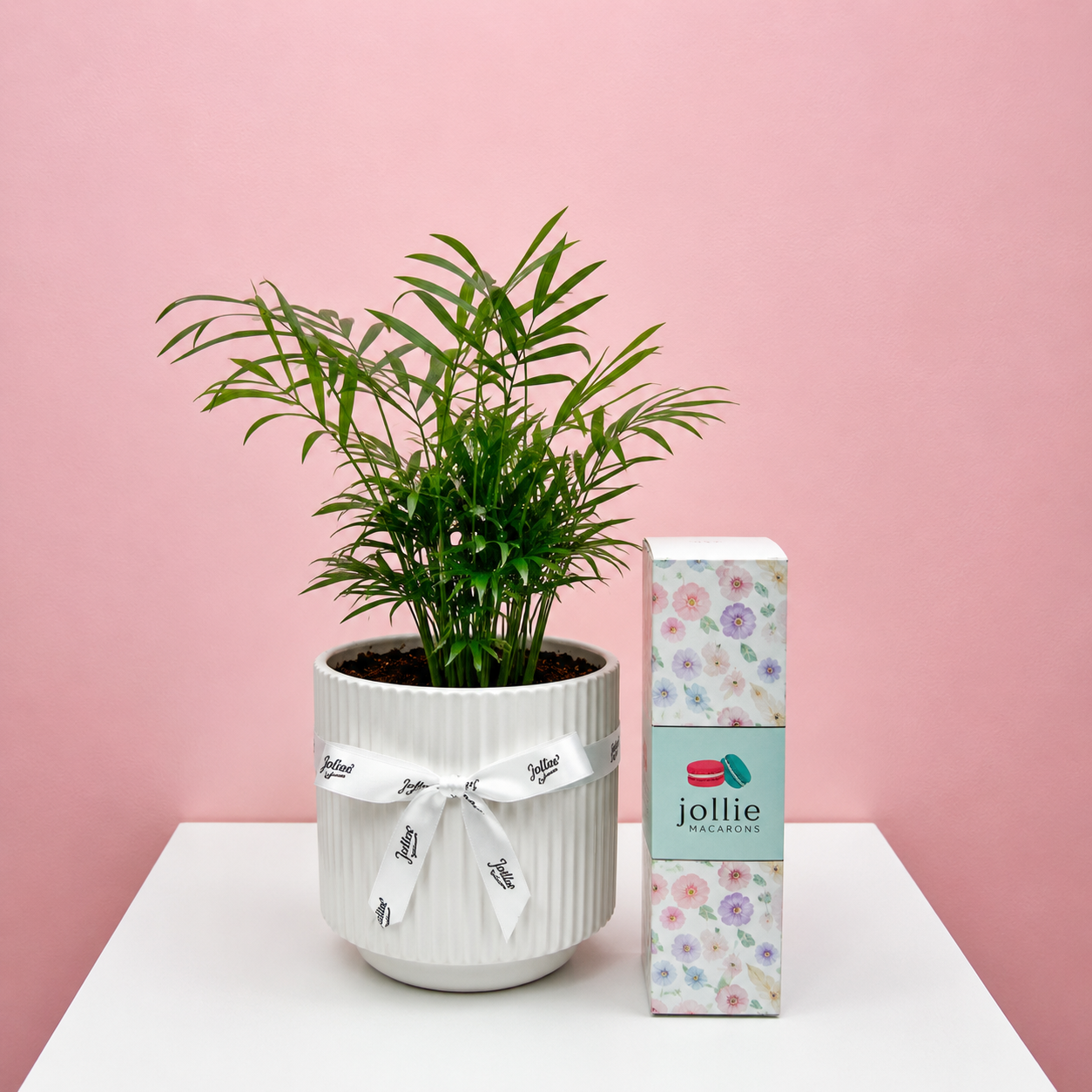 Plant Combo