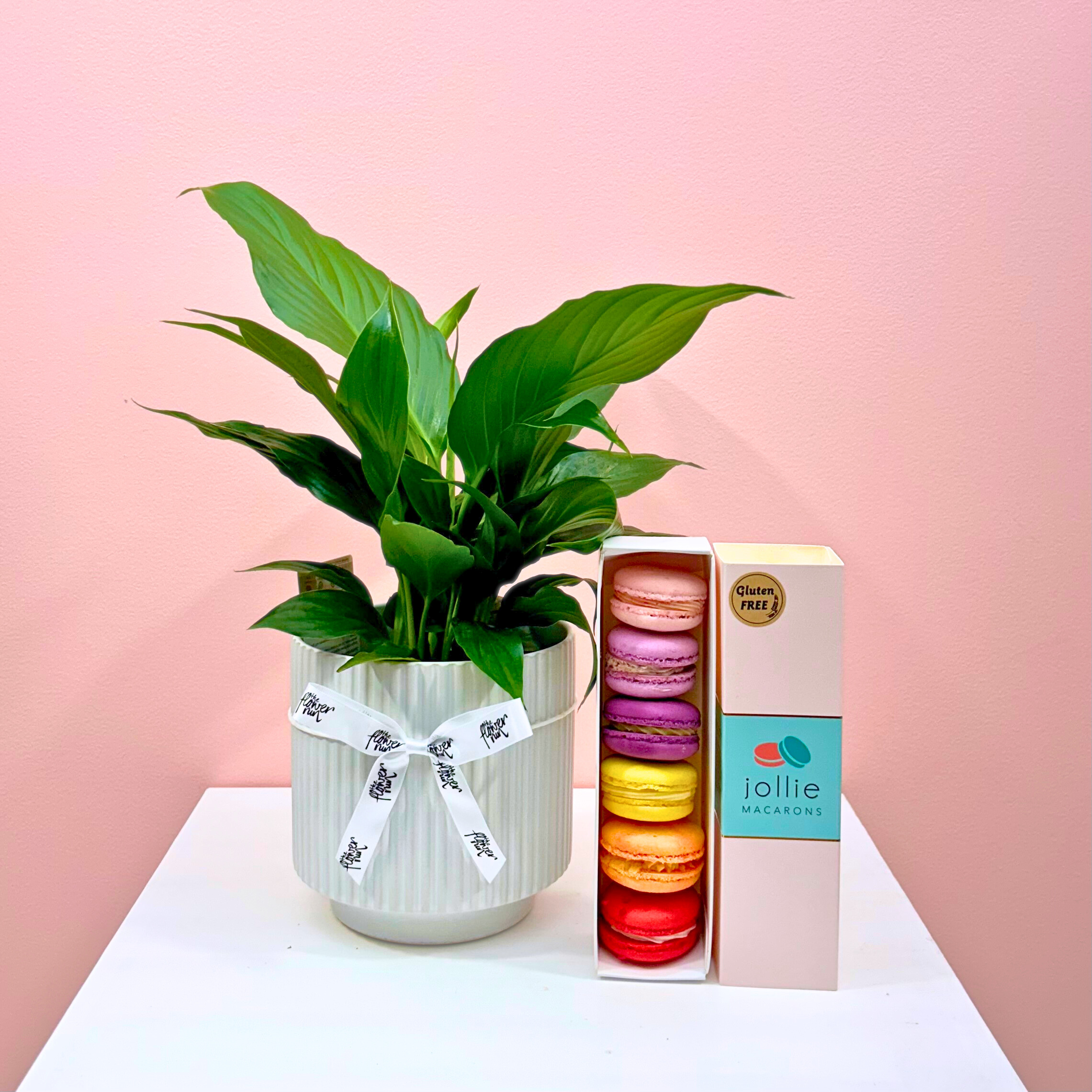 The Peace Lily Plant Combo