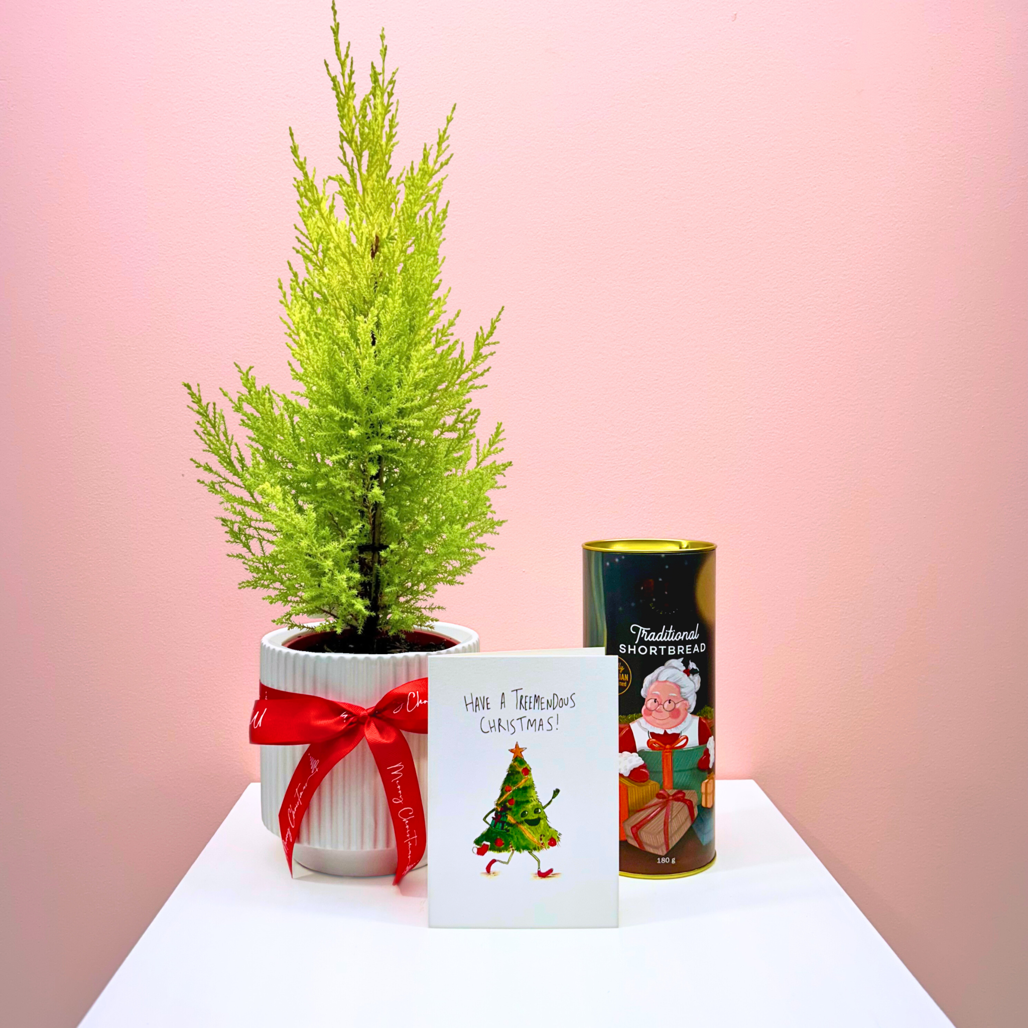 The Mini Christmas Tree Combo