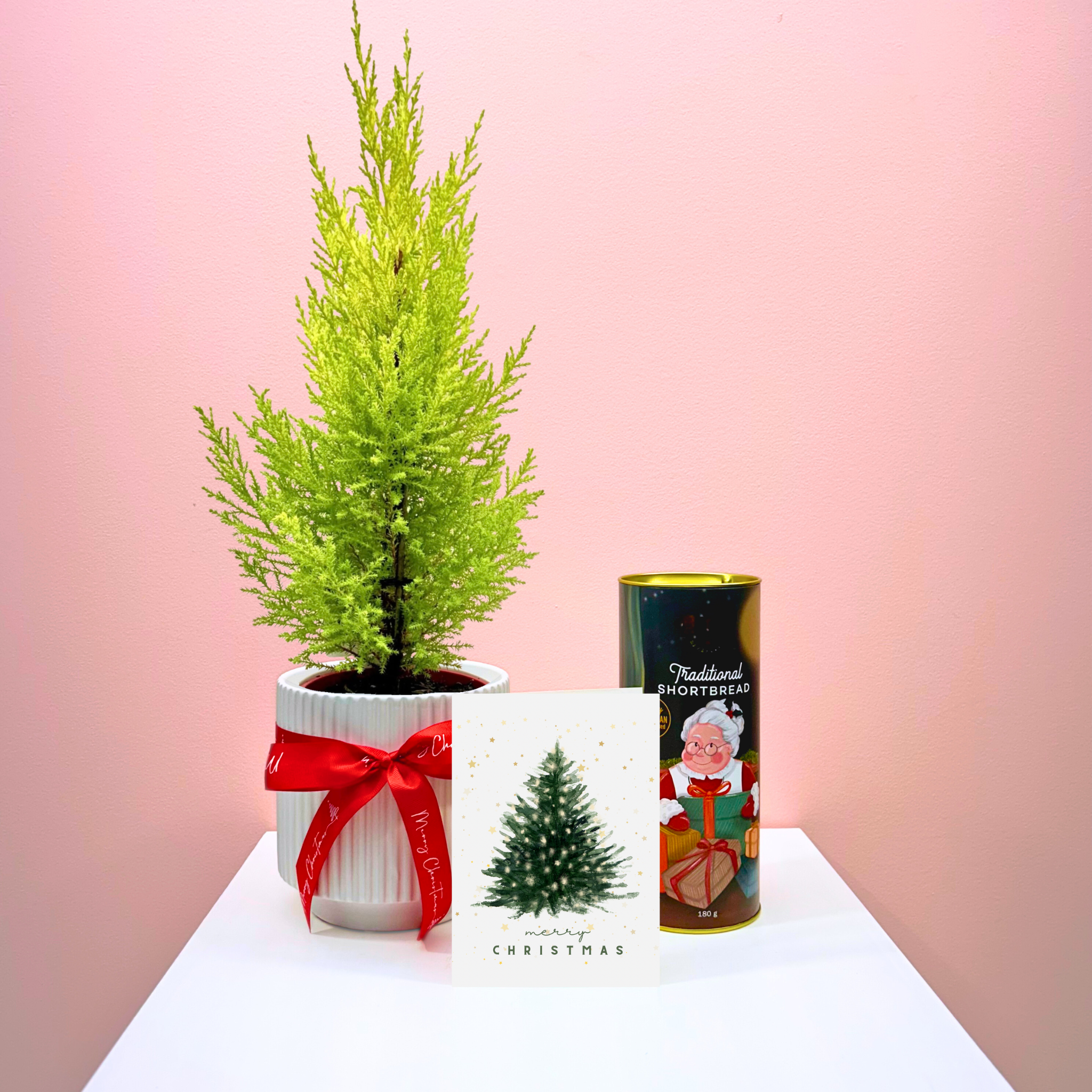 The Mini Christmas Tree Combo