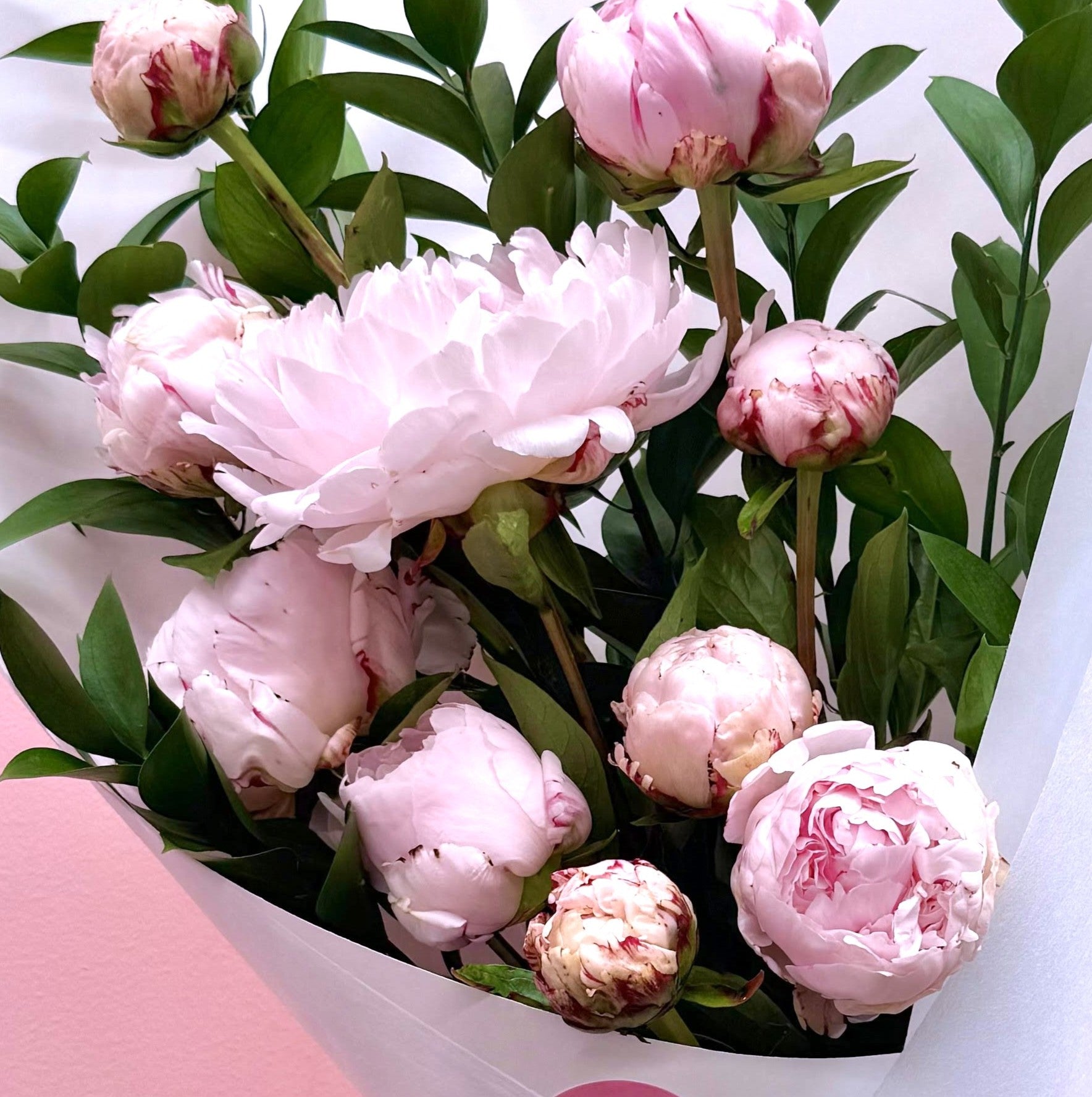 The Peony Bunch